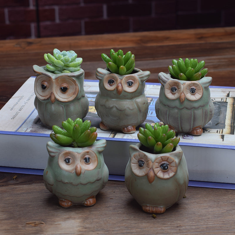 Owl Shape Garden Flower Pot Desk Plant Pot Creative Design